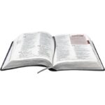 BIBLIA EST PLENITUDE PARA JOVENS S/INDICE CINZA - Imagem 3