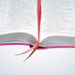 Bíblia RA Extra Luxo com Índice Rosa e Vinho - Imagem 2