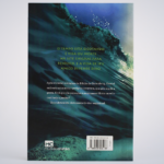 Livro Sete Enigmas e um Tesouro - Maurício Zágari - Imagem 2