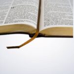 Bíblia com Harpa Letra Grande, Edição com Letras Vermelhas Marrom - Imagem 3