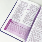 Bíblia Devocional Para Garotas | NVT | Letra Grande | Capa Dura Formas - Imagem 5