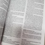 Bíblia Sagrada Feminina Colorida Capa Dura Nvi | Pão Diário - Imagem 4