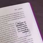 Livro Mulheres que Destravam Destinos/ Fabiane Bastos - Imagem 3