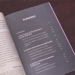 Livro Mulheres que Destravam Destinos/ Fabiane Bastos - Imagem 8