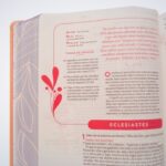 A Bíblia da Mulher que Ora - Edição Expandida | NVT | Salmão - Imagem 4