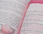 Bíblia Da Princesinha/ Sheila Walsh - Imagem 2