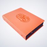 A Bíblia da Mulher que Ora - Edição Expandida | NVT | Salmão - Imagem 2