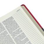 Bíblia | Letra Normal | NVI | Espaço Anotações | Capa Vermelha e Cinza - Imagem 5