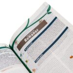 Bíblia Explicada para Crianças com ilustrações Smilinguido - Imagem 3