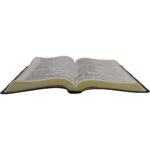 Bíblia NAA Letra Grande ED Econômica CP Preta Linha Ouro - Imagem 3