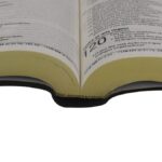 Bíblia NAA Letra Grande ED Econômica CP Preta Linha Ouro - Imagem 2