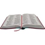 Bíblia Sagrada Letra Gigante Capa Turquesa e Pink - Imagem 2