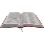 Bíblia Sagrada ARA Letra Gigante Linha Ouro - Imagem 3
