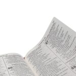 Bíblia RA/ Letra Gigante/ Capa Azul Linha Ouro/ Ed Econômica - Imagem 4