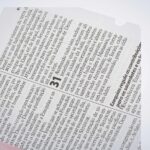 BÍBLIA RA L. GIGANTE LUXO C/IND ROSA CLARO - Imagem 3