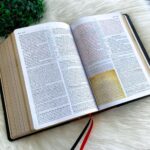 Biblia de Estudo King James 1611 Holman Preta - Imagem 3