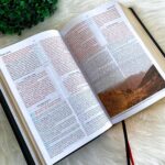 Biblia de Estudo King James 1611 Holman Preta - Imagem 6