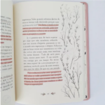 Devocional Enquanto Isso - Journal - Fernanda Witwytzky - Imagem 3