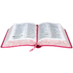 Bíblia Sagrada Pequena RC Letra Grande Índice e Zíper - Imagem 3