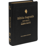 Bíblia Sagrada NAA com Harpa Cristã e Letra Gigante