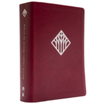 Bíblia de estudo Thomas Nelson Capa Vermelha - Imagem 2