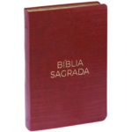 Bíblia Sagrada | NVT | Letra Gigante | Capa Luxo Vermelha