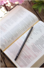 Bíblia da Mulher de Fé: Capa Preta- Sheila Walsh - Imagem 3