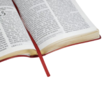 Bíblia De Estudo Joyce Meyer | NVI | Letra Grande | Capa Luxo Vermelha - Imagem 2