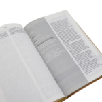 Bíblia De Estudo Joyce Meyer | NVI | Letra Grande | Capa Luxo Mostarda - Imagem 2