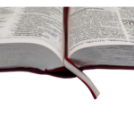 Bíblia Sagrada NAA Letra Gigante Linha Ouro - Imagem 2