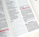 Bíblia Todo Dia Contemporânea Capa Dura Paisagem - Imagem 5