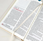 Bíblia Todo Dia Contemporânea Capa Dura Paisagem - Imagem 6