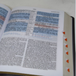 Bíblia Jeffrey Estudos Proféticos | King James | Letra Média | Luxo - Imagem 2