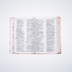 Bíblia Sagrada Mulher Virtuosa - Nvt - Flores - Capa Soft Touch Rosa - Imagem 5