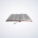 BIBLIA RA-L.GRANDE ARC065LG S/IND CPSINT PINK - Imagem 2