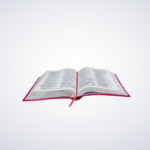 BIBLIA NAA L.GIGANTE LUXO S/IND REF 065 PINK/FLOR - Imagem 4