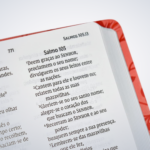 Bíblia Sagrada NVI, Couro Soft, Verde, Letra Grande, Leitura Perfeita - Imagem 3
