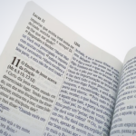 Bíblia NVI - Letra Gigante Azul - Imagem 2