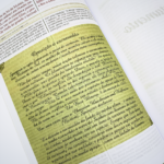 Bíblia De Estudo King James 1611 Holman Feminina - Imagem 3