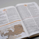 BIBLIA EST NAA NOVA ALMEIDA ATUALIZADA - Imagem 4