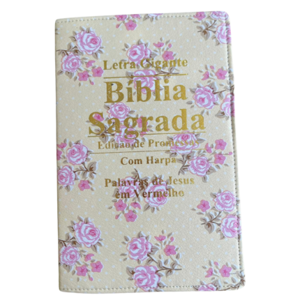 Bíblia com Harpa Edição Promessas (Promoção)