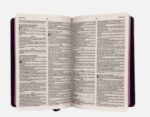 Bíblia Sagrada King James Atualizada 1611 - Imagem 3