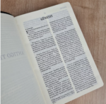 Bíblia NVI, Couro Soft, Preto, Letra Grande, Leitura Perfeita - Imagem 3