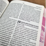 Bíblia NVI - Letra Gigante Rosa - Imagem 2