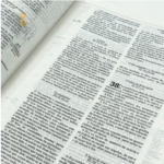 Bíblia de Recursos para Ministério com Crianças Apec Capa Dura - Imagem 3