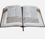 Bíblia Das Descobertas Para Adolescentes Ntlh C/ Indice - Imagem 3