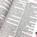 BIBLIA RCH L JUMBO-ZIPER PINK - Imagem 4