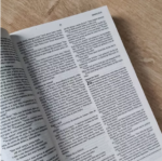 Bíblia Sagrada NVI - Brochura | Leão Pop - Imagem 2