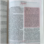 Bíblia de Estudo Reformadores KJF Letra Normal Capa Luxo Caramelo - Imagem 3