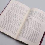 Livro Paixão Radical/ Sara Barratt - Imagem 2